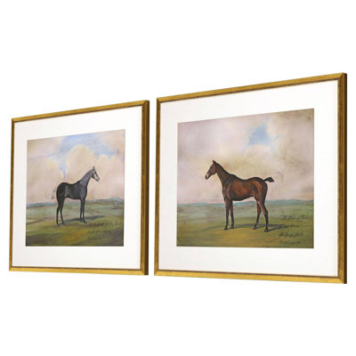 Equestrian II Framed Print