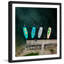 Single Picture Frame Print-18320506
