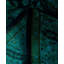 Tapis de couloir unique en laine 3 pi 2 po x 12 pi 1 po Huckaby