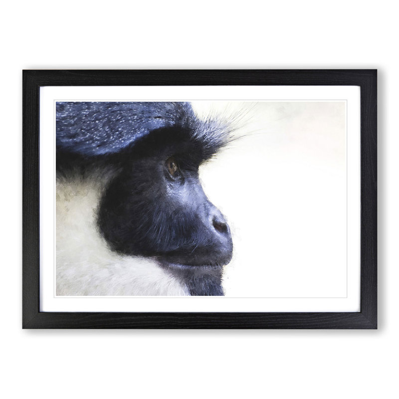 Colobus Monkey - Picture Frame Graphic Art, 27cm H x 36cm W x 2cm D, Black Framed