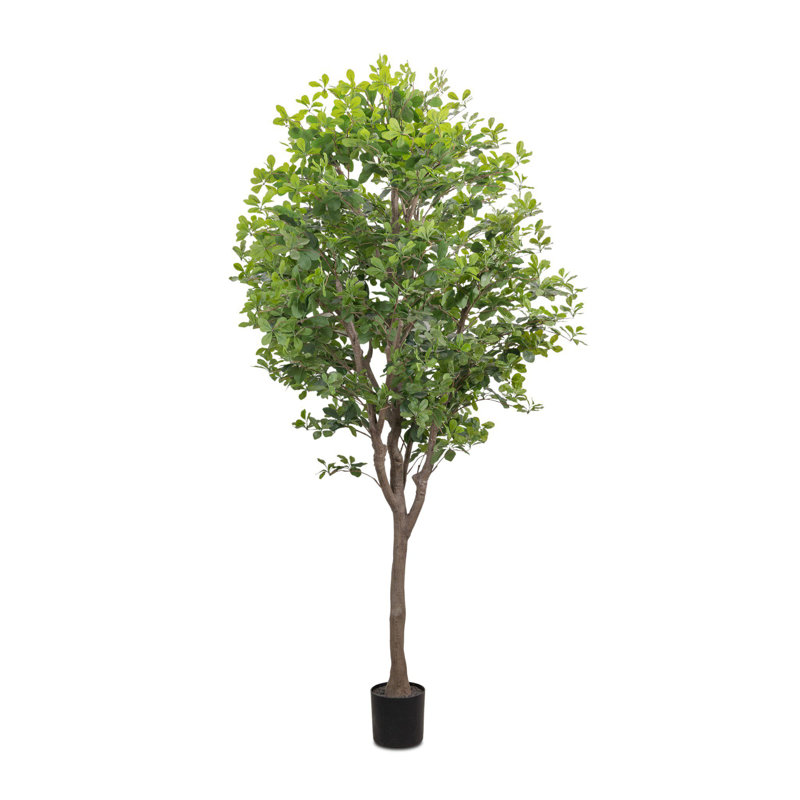Faux Aralia Tree-Faux Aralia Tree-8'