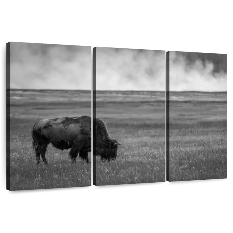 Parc national Brampt Yellowstone, H 20 po x l 33 po