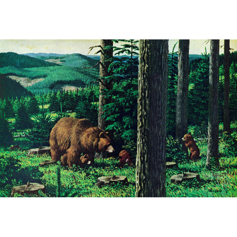 Mama And Cubs - Wrapped Canvas Print, 41cm H x 61cm W x 3.81cm D
