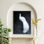Nature Inspired Alabaster Majesty: White Peacock Against The Night-1726746816-1691489136-1691489058