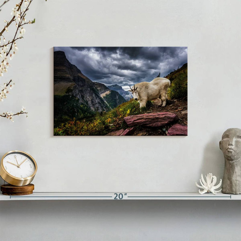 Brampt Rocky Mountain Goat