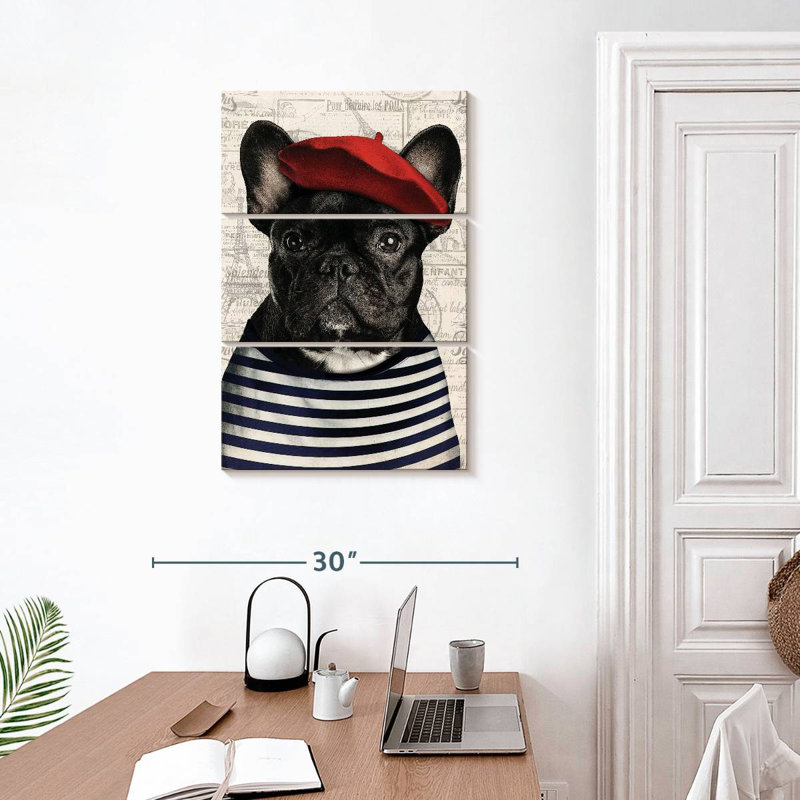 Adorable bouledogue français Brampt