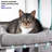 Chambre 32.75'' H Cat Tree