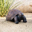 Statue de tortue de marche en béton / gris MgO L 21,3 po XBrand, décor intérieur ou extérieur, décoration de jardin, statuaire de tortue-1089381214-1089381209