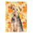 Terrier gallois brun sélectionné