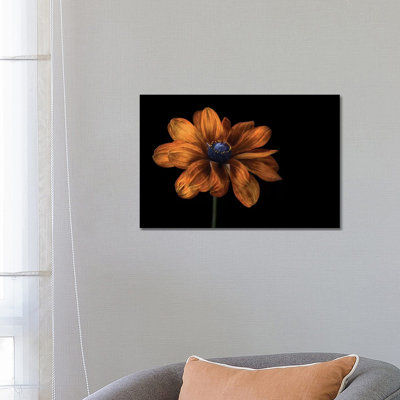 Rudbeckia 1 Piece Wrapped Canvas Wall Art