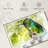 Hummingbird In Emerald-107923098