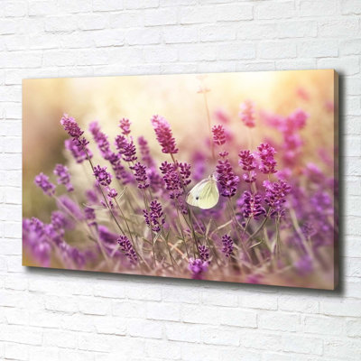 Lavender - No Frame Print on Canvas