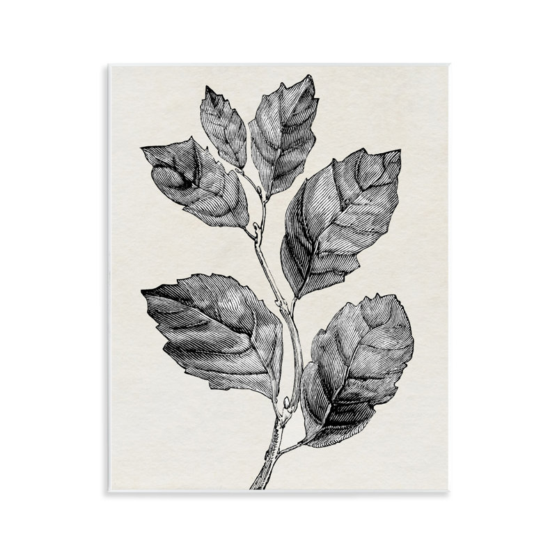 Plaque murale classique coupée à la branche de feuille, design par Karen Smith