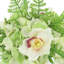 Hydrangea and Orchid Arrangement