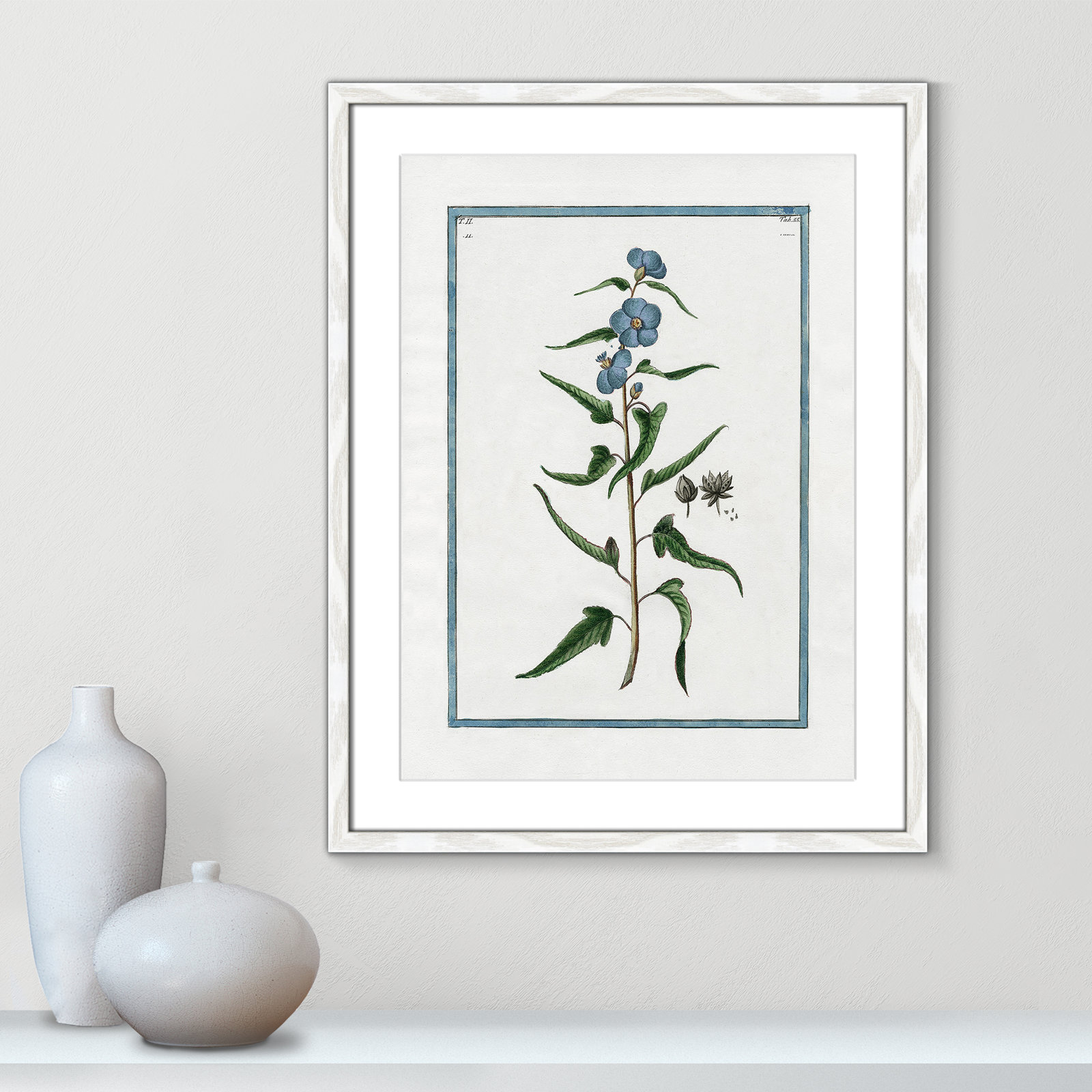 Colombe "Shabby Elegance Botanical I" Print, 17" W x 23" H, White Framed