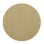 Canby End Table-719182509