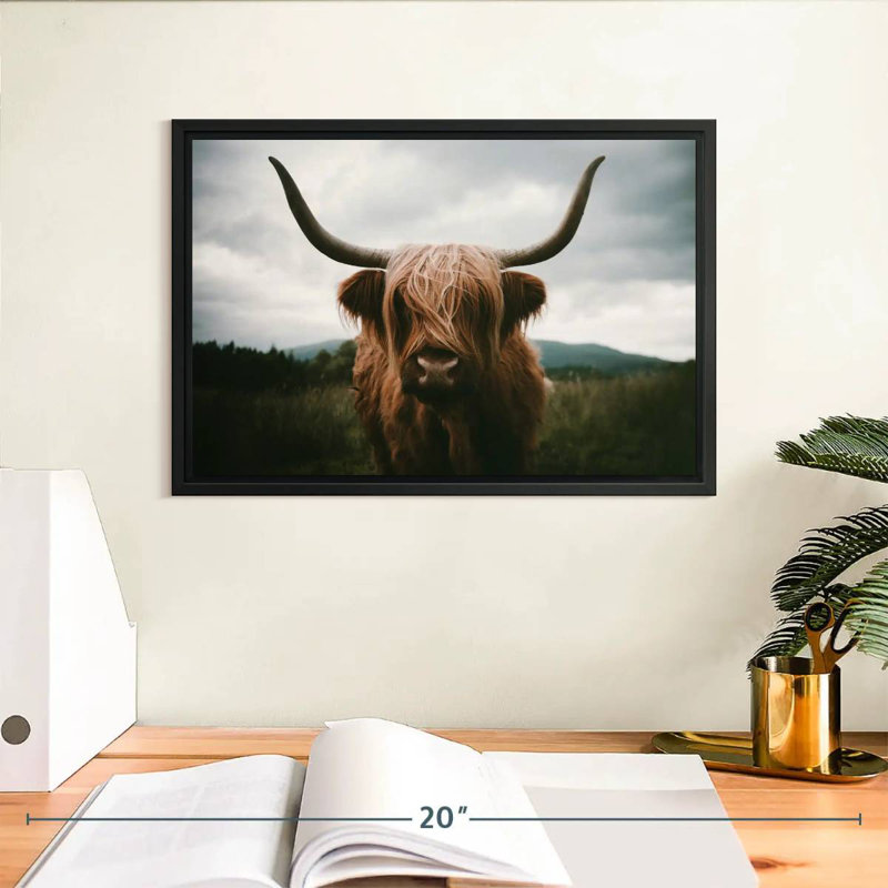 Brampt Open Field Highland Cow, H 9 po x l 13 po