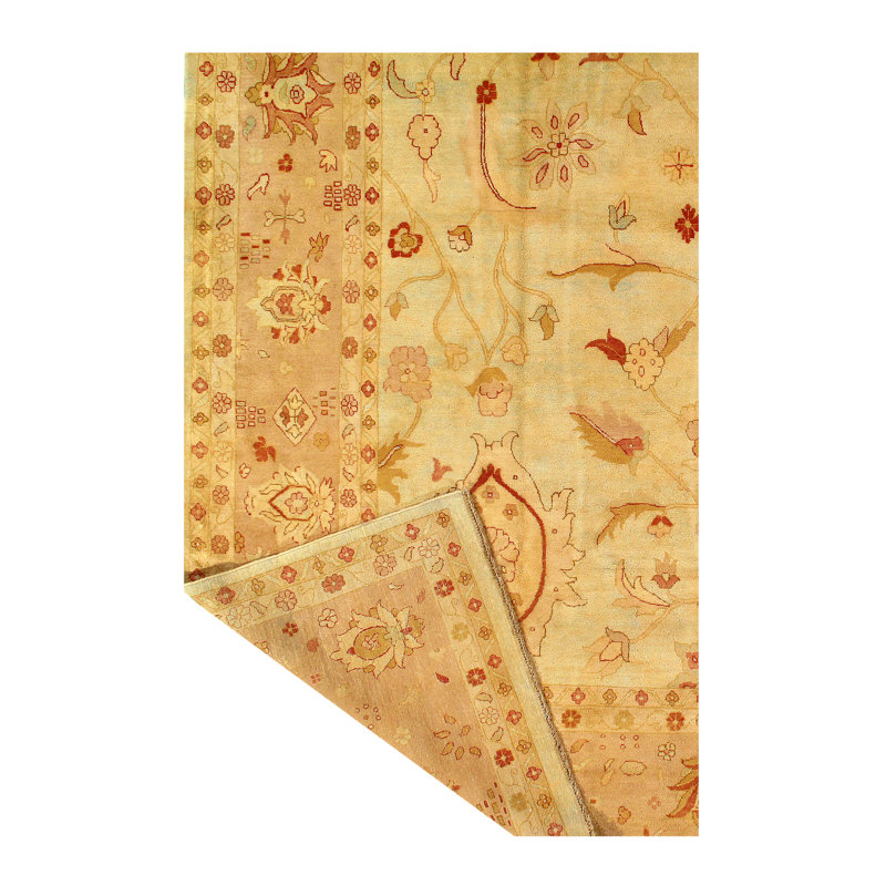 Tapis unique de 12 pi x 18 pi beige / rouge noué à la main Agra
