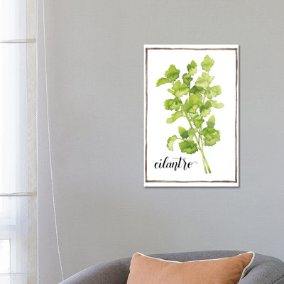 Watercolour Herbs IV - Wrapped Canvas Print