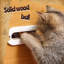 Lit pour chat 18,7 po Pirate Ship-129577302