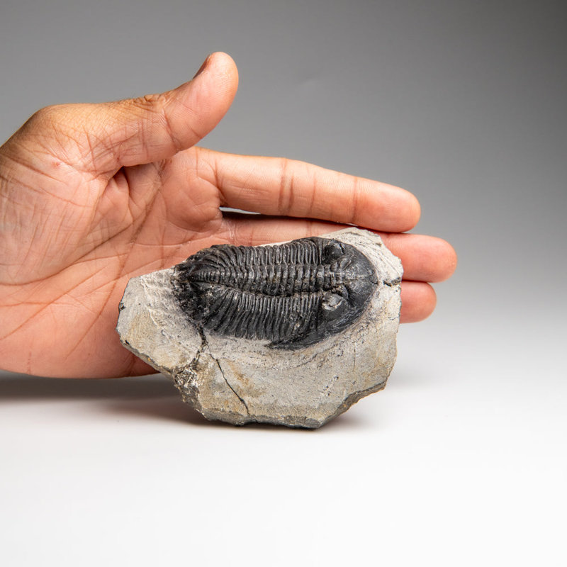Stone Decorative Object