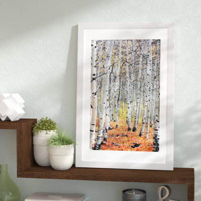 " Autumn In Aspen " by Unknown Artist