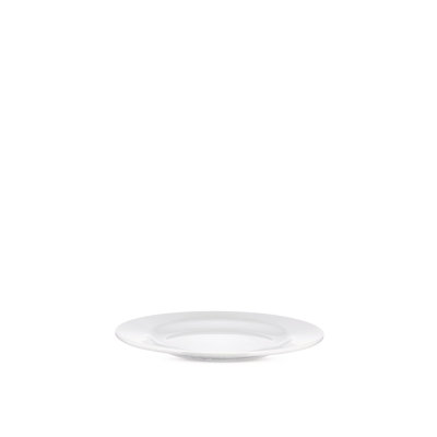 Porcelain Dinner Plate