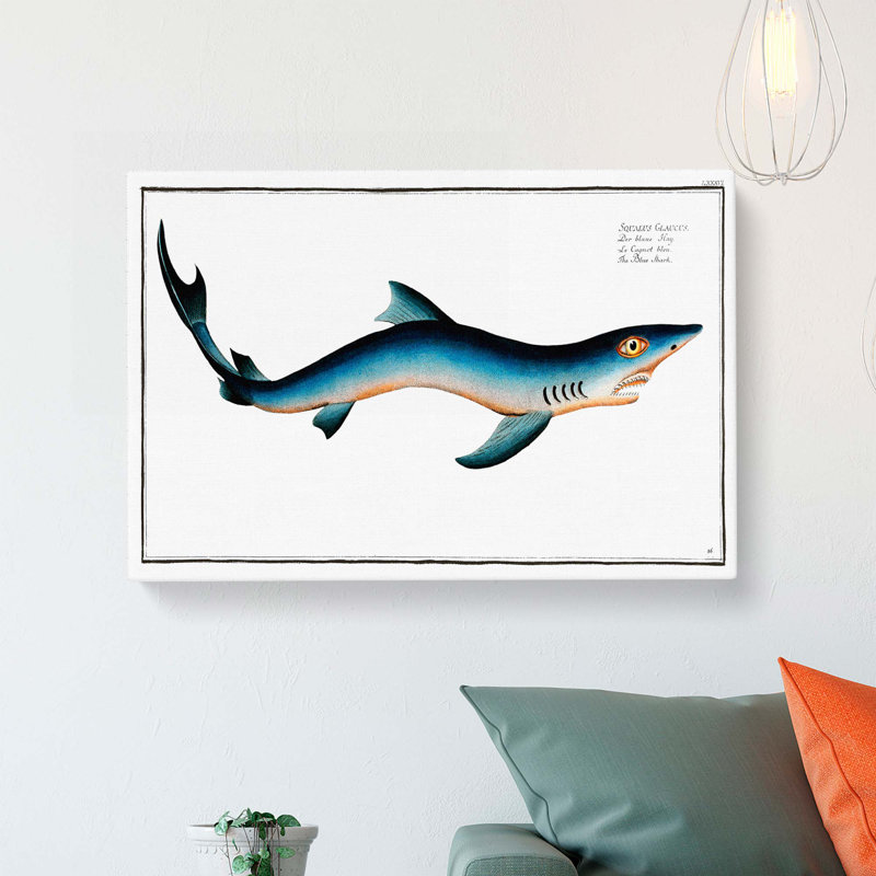 Blue Shark by M.E. Bloch - Wrapped Canvas, 40cm H x 60cm W x 3cm D