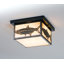 2 - Light Flush Mount