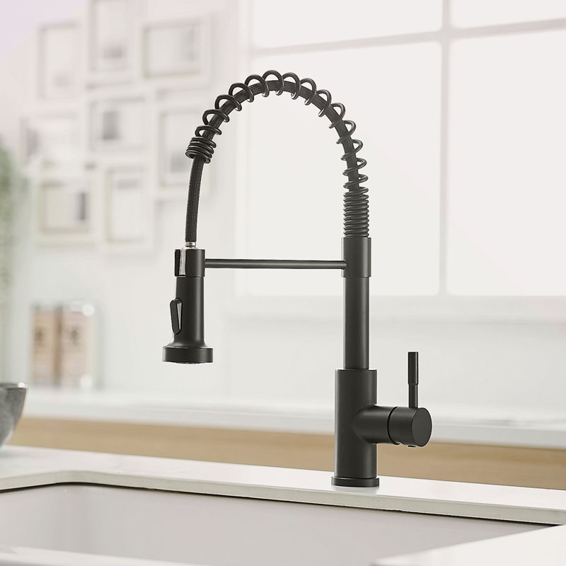 Robinet de cuisine avec douchette rétractable en acier inoxydable à poignée simple et évier à ressort