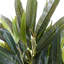 100Cm Artificial Ficus Plant in Pot