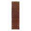 Oriental Area Rug in Red