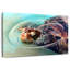 Tortue Brampt-108695104