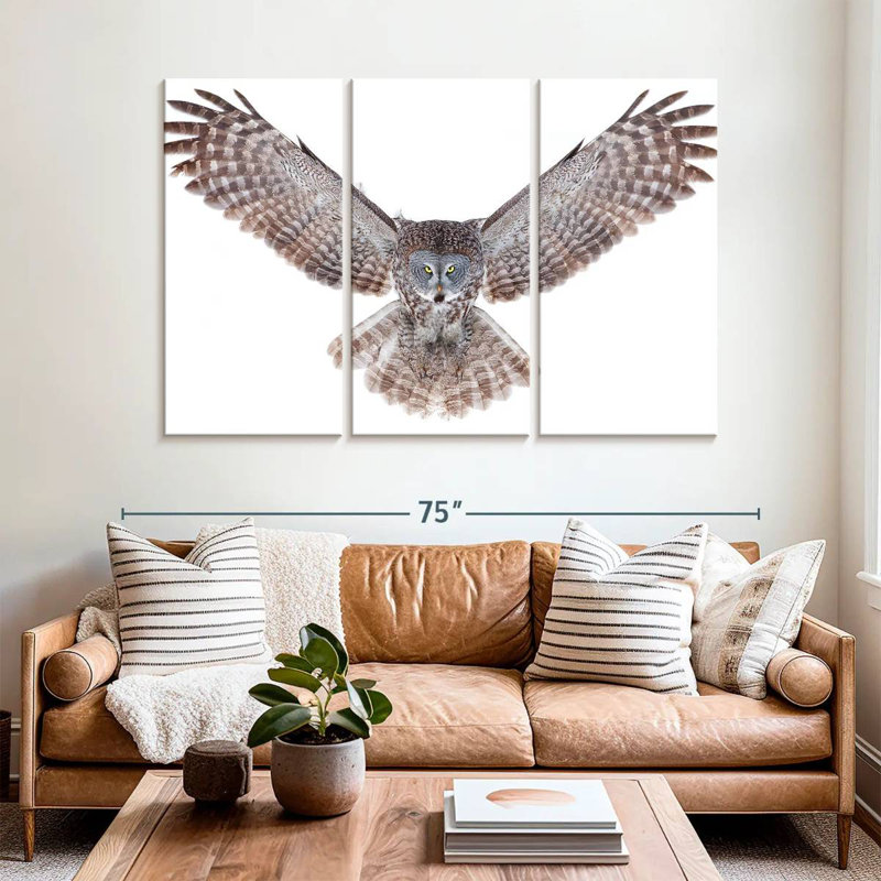 Brampt Owl Power, 42" H x 65" W