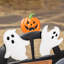 Piquet de voiture 24 "H Halloween