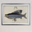 « rétro fish study i », impression-2076686384-2076686393