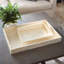 Triton Shell / Capiz Decorative Tray-1863748262-1863748265