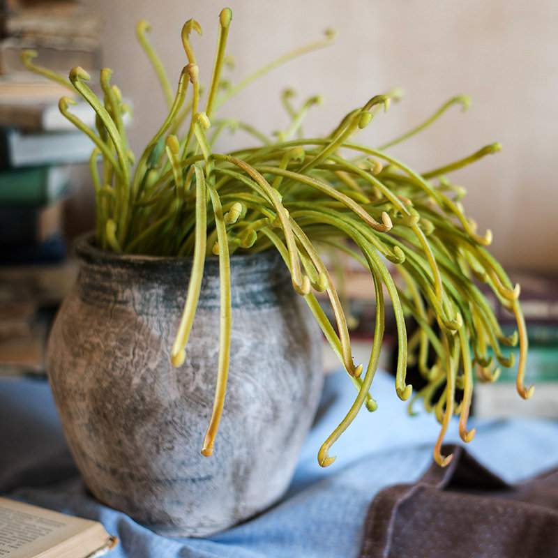 Tige de sarracenia artificielle, 3 tiges