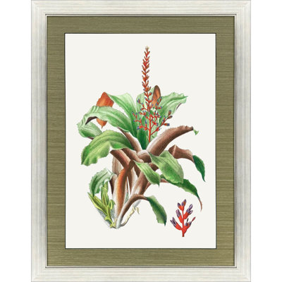 Cactus, art floral encadré