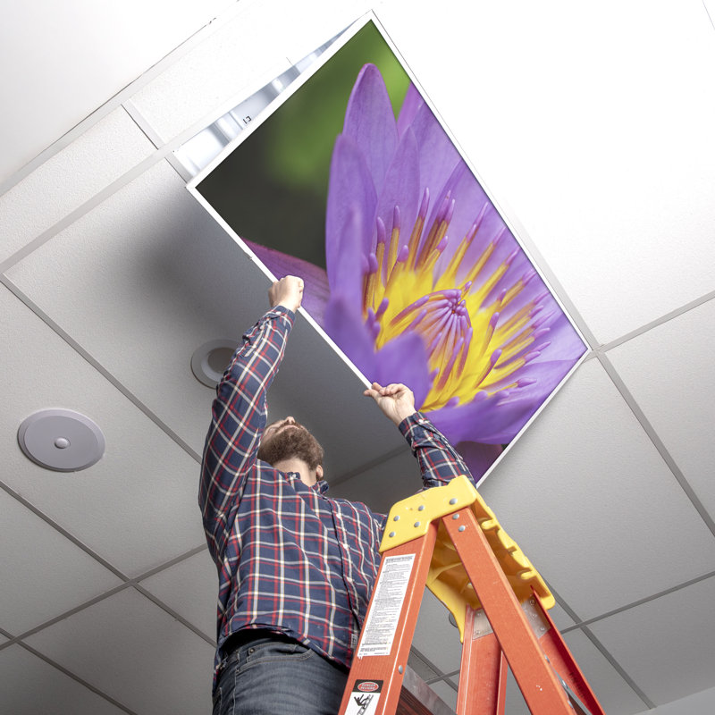 Octo Lights - Fluorescent Light Covers - Flexible Decorative Light Diffuser Panels - Flower - For Classrooms And Offices - Flower 003