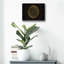 «Zen Mandala» par Cameron Gray, art mural en verre acrylique-2025049677