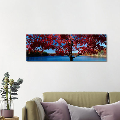 Close-up Of A Tree, Walden Pond, Concord, Massachusetts, USA - Wrapped Canvas Panoramic Print