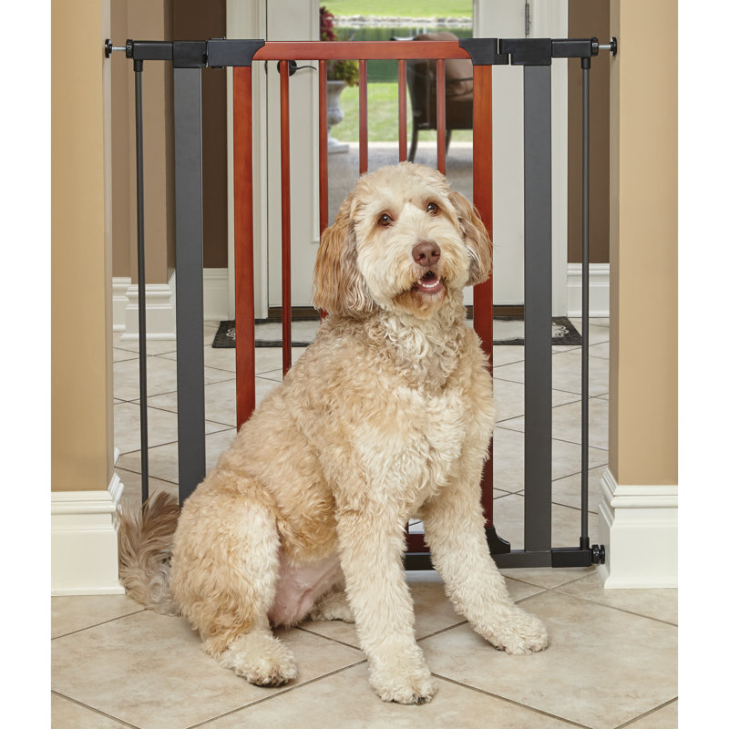Barrière en acier MidWest Homes for Pet avec cadre en graphite texturé et porte décorative en bois