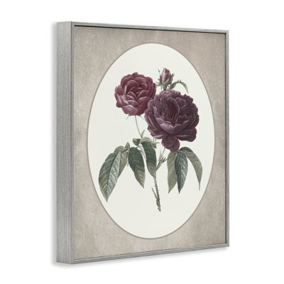 Vintage Blooms within Oval Framed Giclee, design by Lettered and Lined