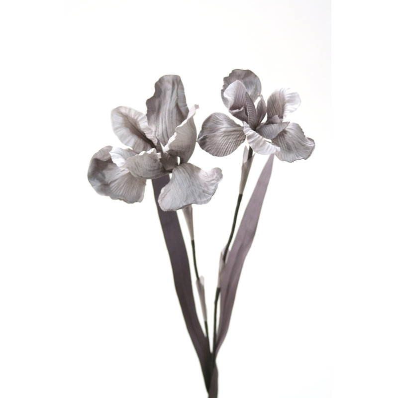 Iris Arrangement, Gray Dark Gray