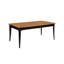 Dining Table-1295888824