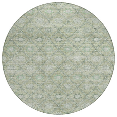 Machine Washable Indoor/Outdoor Xhevrie Aloe Rug
