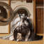  Tapis lavable Sphynx Cats-1904784924