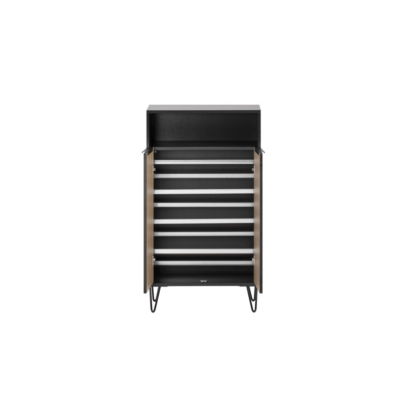 Ageliki 10 Pair Shoe Storage Cabinet