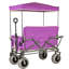Chariot convertible pour chariot pliant avec auvent-125205272